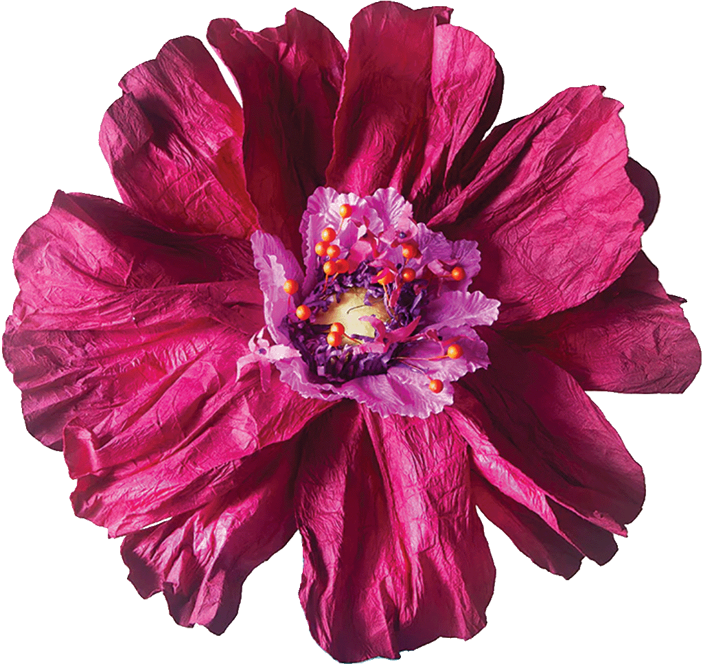 Flower Magenta