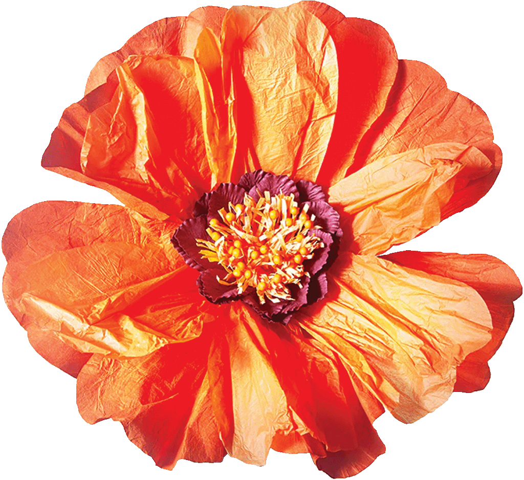 Flower Orange