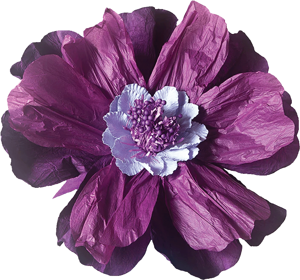Flower Purple