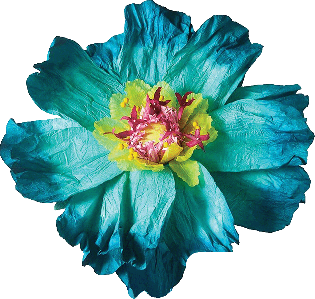 Flower Teal